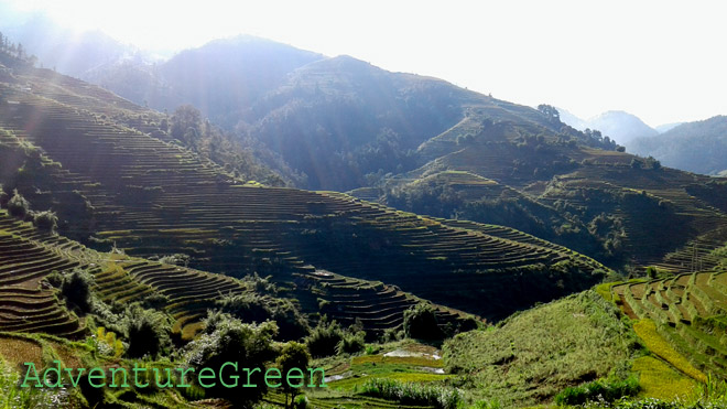 Bright sunshine at Mu Cang Chai