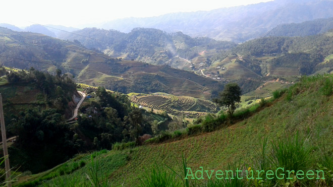 A bird eye's view of Mu Cang Chai