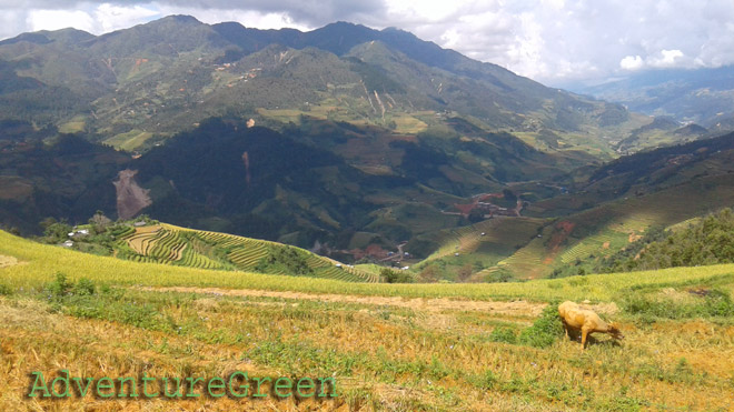 A stunning view of Mu Cang Chai