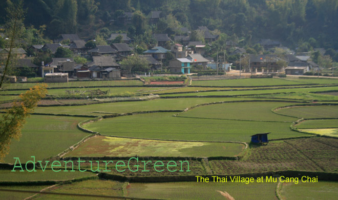 The Thai Village at Mu Cang Chai