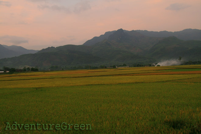 Dusk at the Muong Lo Valley, Nghia Lo Town, Yen Bai
