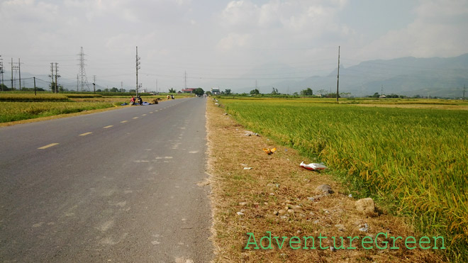 Road amid rice fields at the Muong Lo Valley (Nghia Lo, Yen Bai Province)