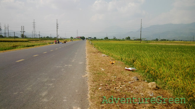 Road amid rice fields at the Muong Lo Valley (Nghia Lo, Yen Bai Province)