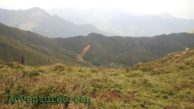 A lovely meadow at over 2,400m above sea level