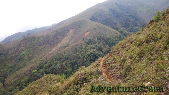 Lovely footpath meandering amid peaks