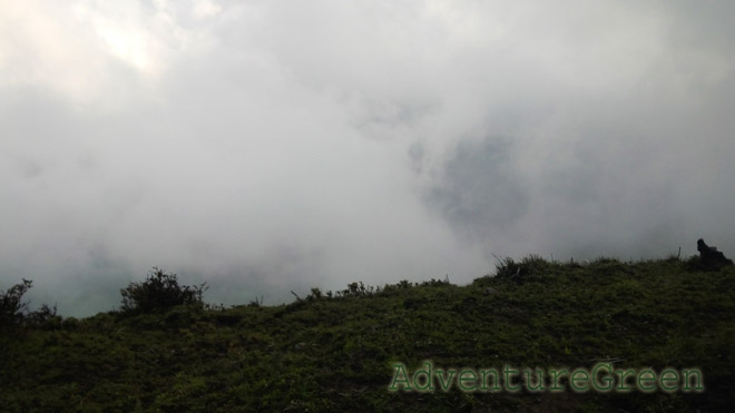 Foggy view at the summit of Ta Chi Nhu (Phu Song Sung)