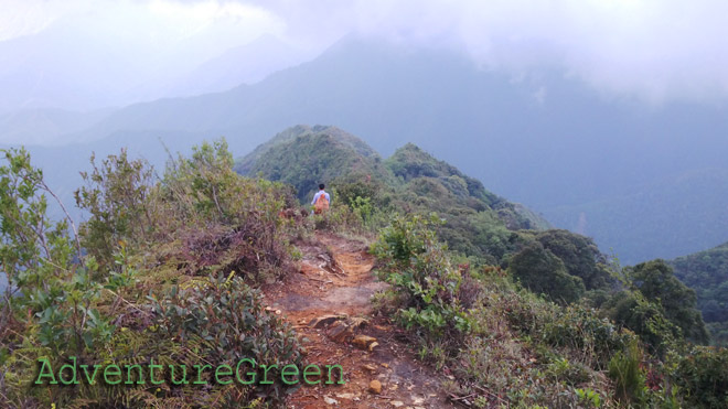 Forest, valleys, mountains peaks, clouds... accompany us on the way to the summit!