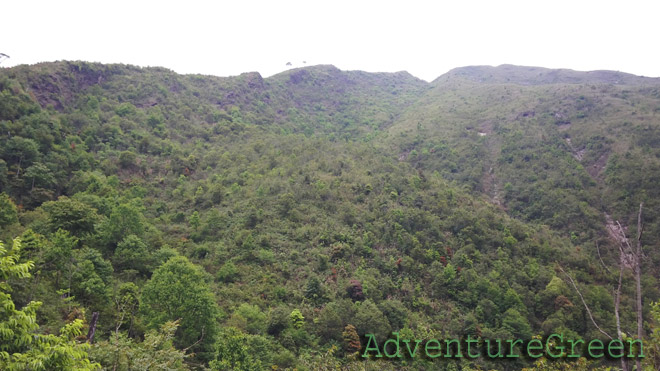 The tiny trees on the top there mark the midway between the summit and the mountain base