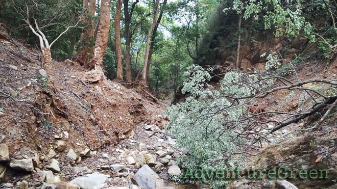 Landslide some short time ago here