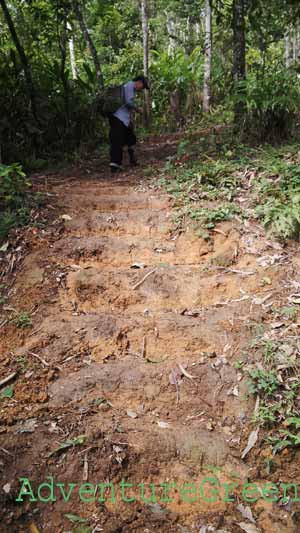 A slippery path at Ta Xua
