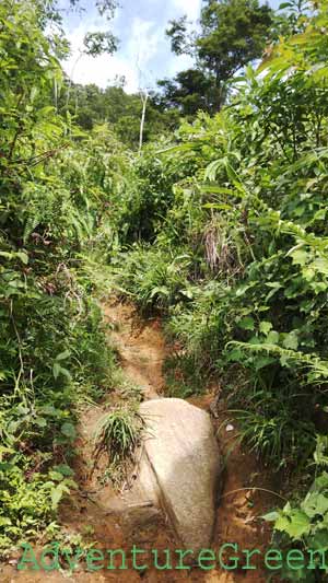 A rock-strewn path at Ta Xua