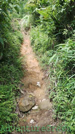 From here the trail keeps going up and there are patches of thin woods on the way