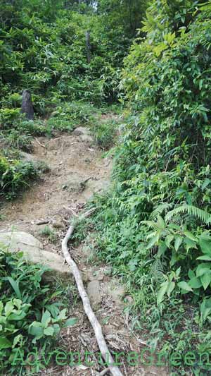 More of the steep trekking path