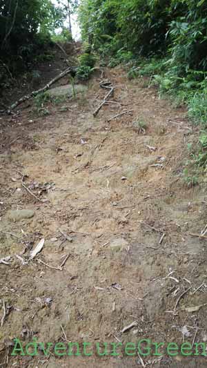 The dirt path could get muddy when it rains at the Ta Xua Mountain Yen Bai
