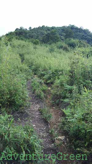 The last leg of the hike to the first hut