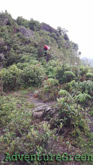 The challenging Dinosaur Backbone on the Ta Xua Mountain trekking tour