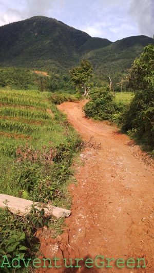 Then comes the dirt path with rice terraces around