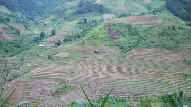 Dry terraces near Tram Tau, Yen Bai