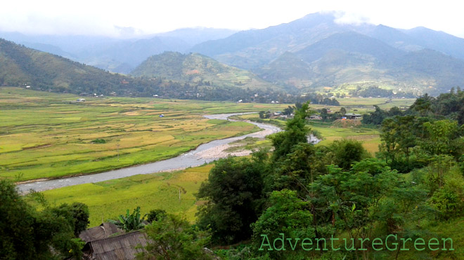 The colors of the whole valley changes per the colors of the rice