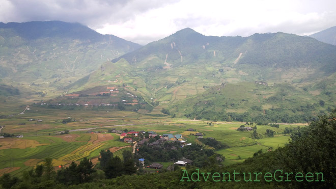 Rice and mountains at the Tu Le Valley