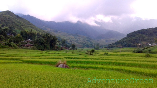 Idyllic landscape at Gia Hoi, Van Chan, Yen Bai