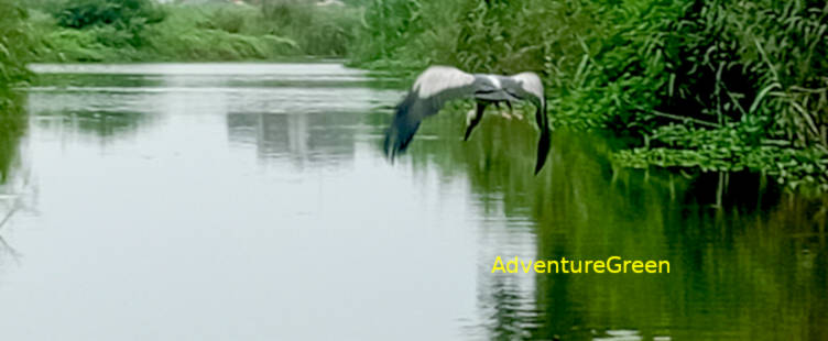 Wildlife Tour at Cuc Phuong National Park & Van Long Wetland - 3 Days