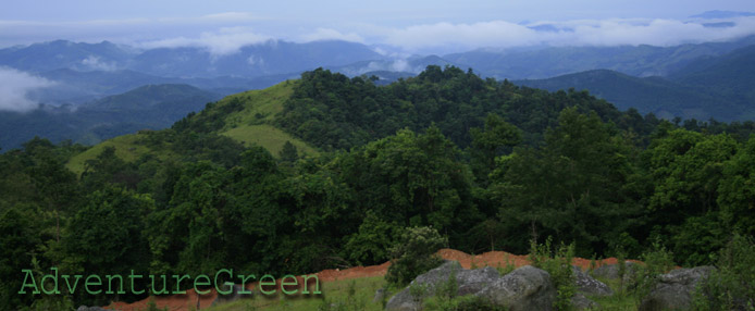 Fresh nature at Dong Cao, Son Dong, Bac Giang