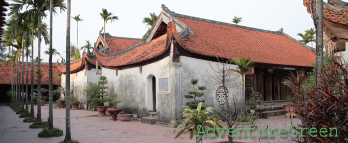 The back yard at the But Thap Pagoda in Bac Ninh