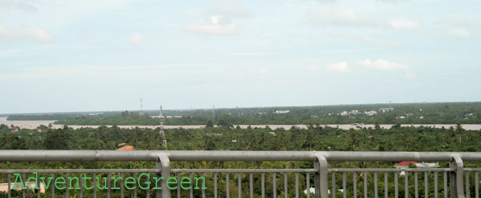 Coconut forests by the Mekong River at Ben Tre