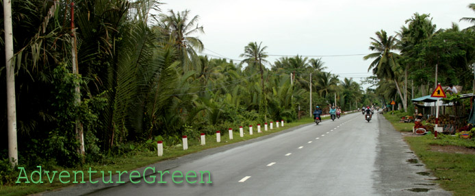 A road through coconut a forest at Ben Tre