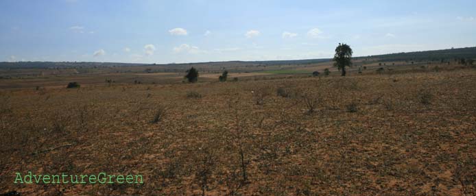 A sunny day in March in Binh Thuan desert, South of the Central Region ofVietnam