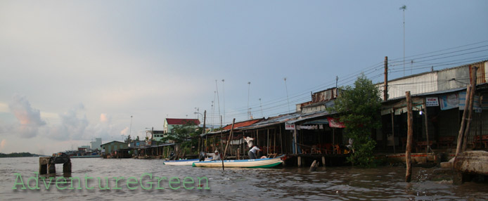 Landscape by the riverside of the Mekong River at Ca Mau