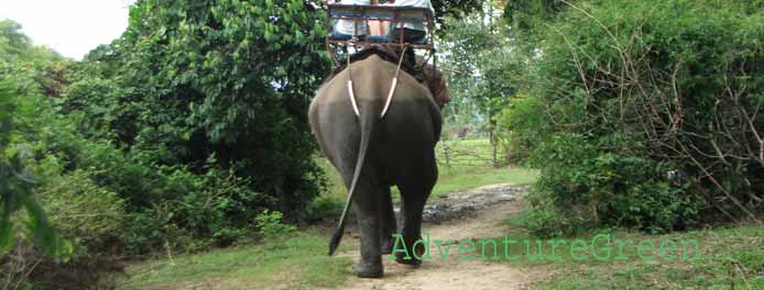 Yok Don National Park in Dak Lak Vietnam