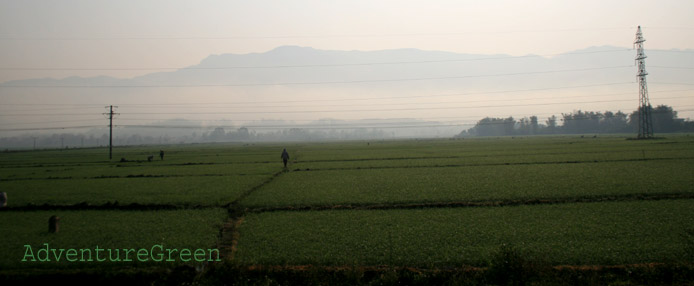 The Muong Thanh Valley