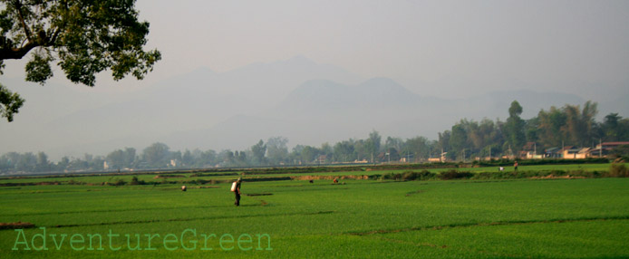 The Muong Thanh Valley at Dien Bien Phu