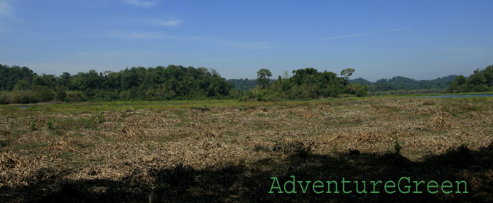 Crocodile Lake at Cat Tien National Park Vietnam