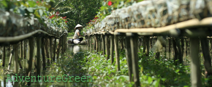 Sa Dec Flower Village in Dong Thap, Vietnam