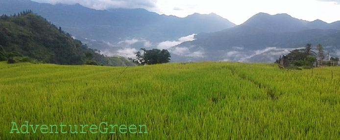 Breathtaking nature at Thong Nguyen, Hoang Su Phi, Ha Giang