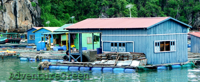 A floating village near Cat Ba Island