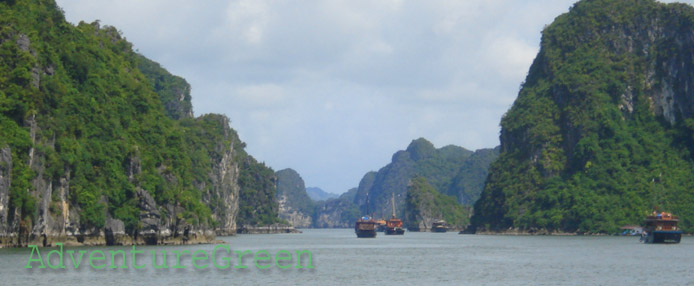 Stunning islands on Halong Bay