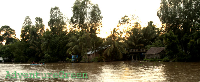 " alt="Riverside of the Mekong River at Vi Thuy, Hau Giang