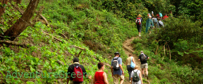 Trekking through a forest at Hang Kia, Hoa Binh