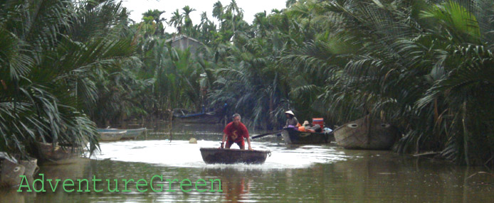 A coconut forest in Hoi An, Quang Nam