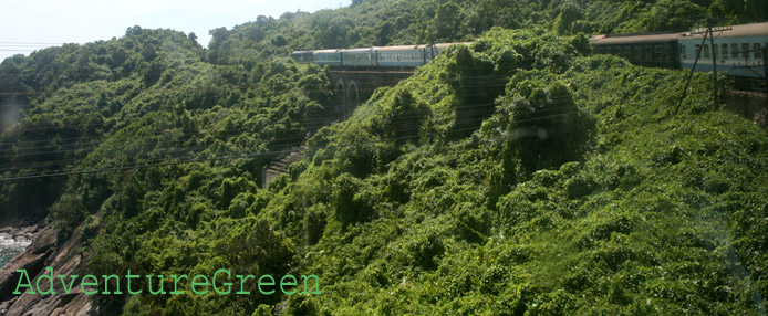 Tam Giang - Cau Hai Nature Reserve, Thua Thien - Hue