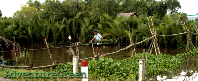 Crossing a monkey bridge at Kien Giang