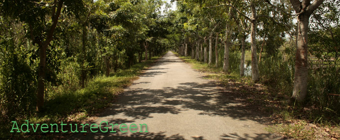 Entrance to the U Minh Thuong National Park in Kien Giang