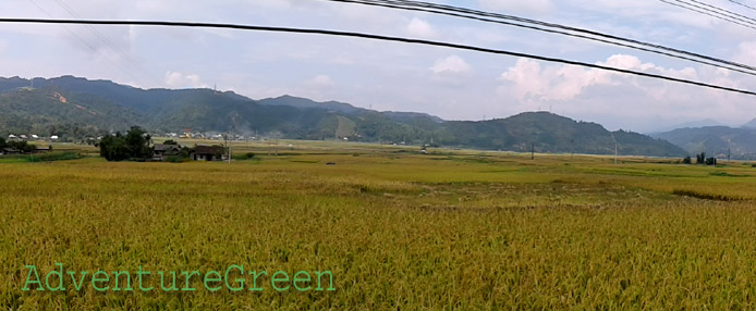 The idyllic Muong Than Valley The idyllic Muong Than Valley