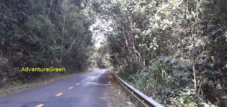 Birding Tour at Di Linh - 3 Days