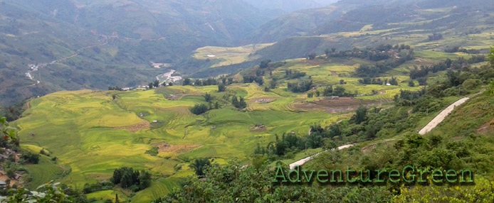 Breathtaking rice terraces at Ngai Thau, Bat Xat, Lao Cai, Vietnam