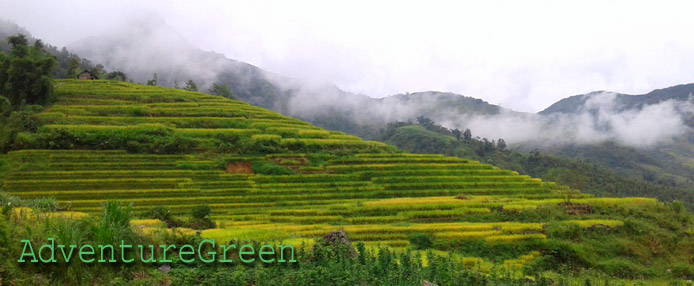 Wonderful rice terraces at Sang Ma Sao, Bat Xat, Lao Cai